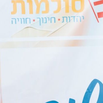 גלריה 2025 2
