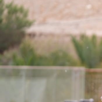 Whatsapp Image 2026 02 17 At 11.56.19 (1)